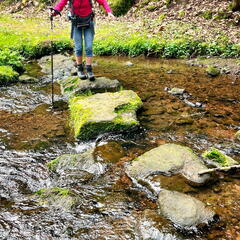 23-04-30 10-39-52 5228